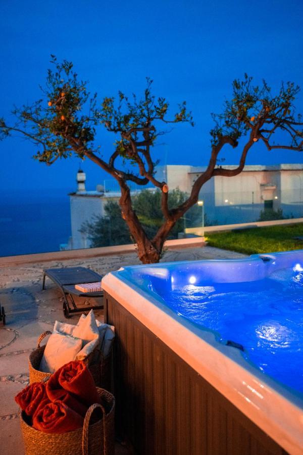 Villa Mimina - Exclusive Villa With Garden, Jacuzzi And Sea View Băile Herculane Dış mekan fotoğraf